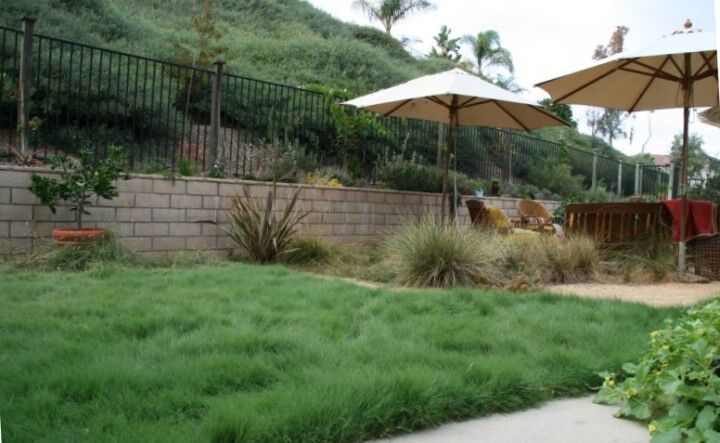Three Eco-Friendly Lawn Alternatives that Save