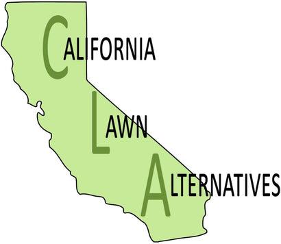 California Lawn Alternatives