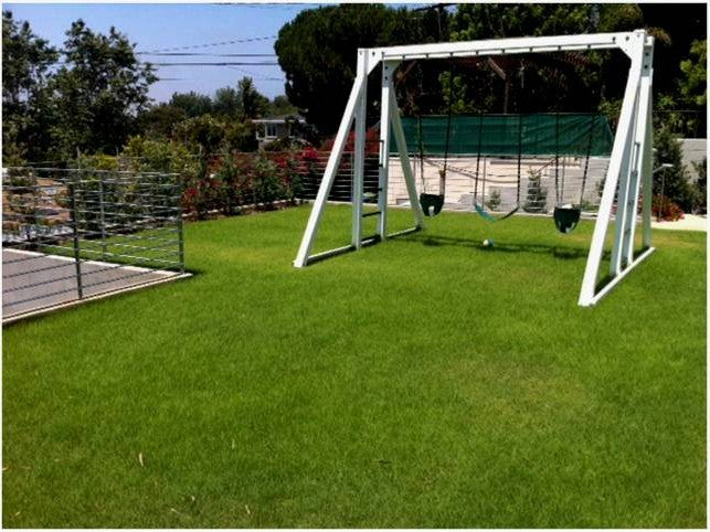 UC Verde Buffalograss Plugs - 128 Ct.