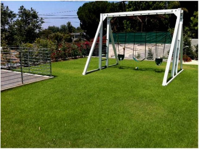 UC Verde Buffalograss Plugs - 128 Ct.