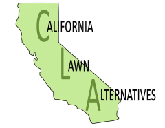 California Lawn Alternatives